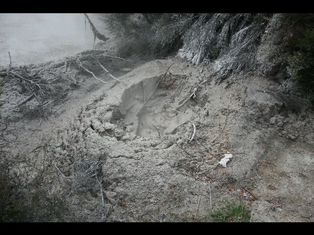 Album - WAI-O-TAPU-NAT-PARK