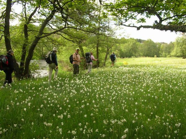 Album - margeride---au-pays-de-la-b-te-du-g-vaudan