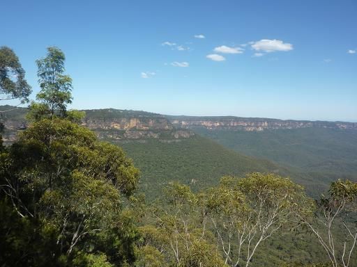 Album - 04.Blue-Mountains