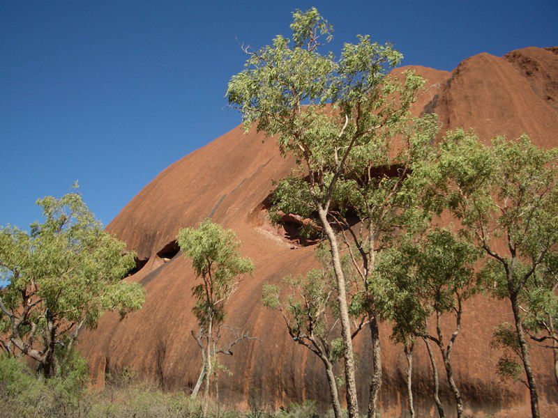 Album - The-Ultimate-Oz-Experience-2--Outback--The-Olgas---Ayers-Rock---Kings Canyon