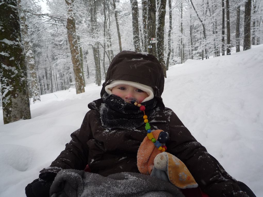 premire leçon de ski au Ballon d'alsace - fevrier 2010