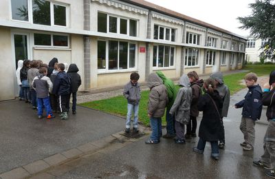 Visites des expos de Seichamps...