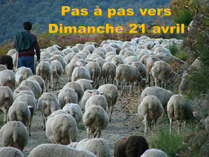 Pas à pas vers Dimanche 21 avril