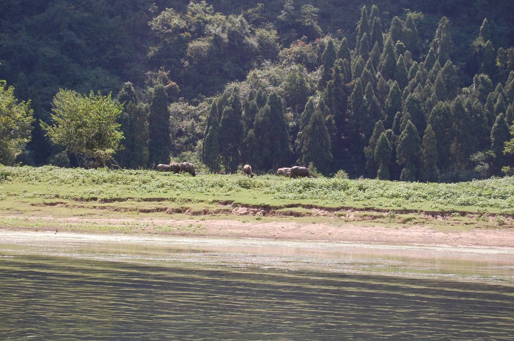 Album - 87 Chine Yangshuo