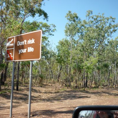 16-08-10 au 22-08-10 Kakadu National Park