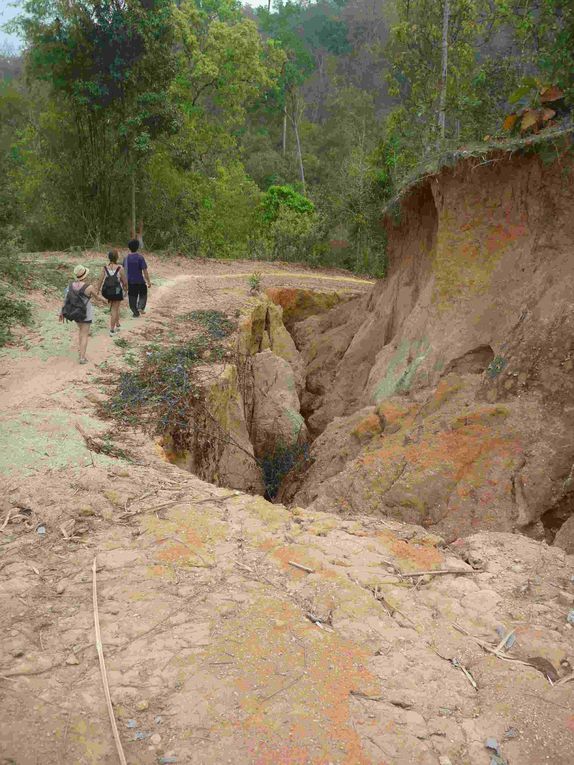 Album - chiang-mai-trekking