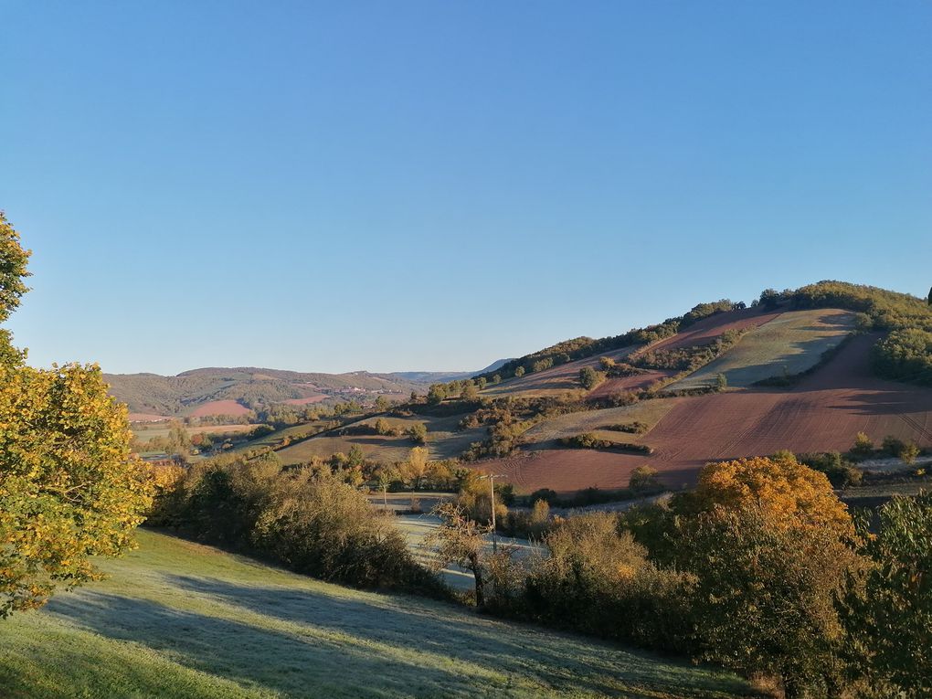 Gelée du matin