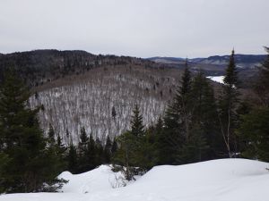 Une petite heure et demie de randonnées dans la forêt de ouareau. A peine. Parce qu'on à vraiment trop mangé.  Parce qu'il fait froid. Parce qu'on a trop d'autres choses a faire en rentrant.  