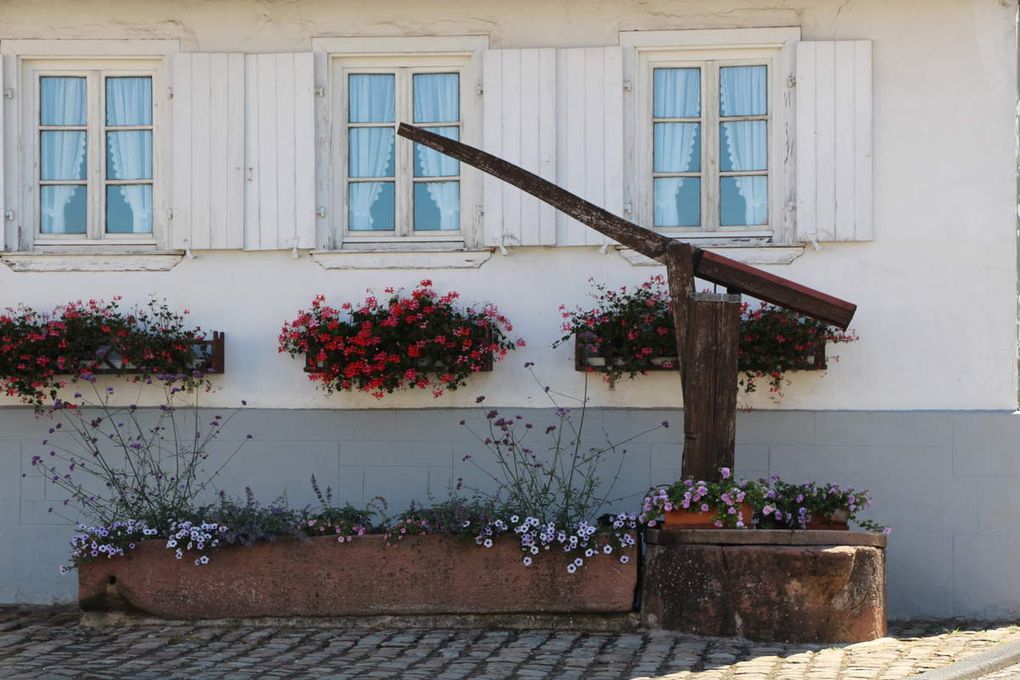 Fontaines à balancier, à bras, abreuvoir et autres