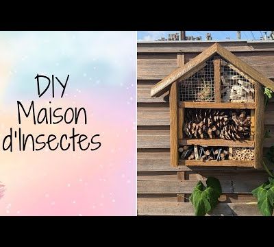DIY d'une maison d'insectes