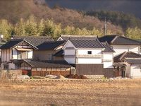 Les touffes d'arbres verts sont des bambous (Také 竹). Ils sont légion dans les campagnes. Le Japonais se demandent d'ailleurs ce que nous, Occidentaux, leur trouvons de si particulier...