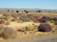 RN12 FoumZguid-Zagora (Maroc en camping-car)
