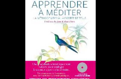 Méditation n°5, à reproduire, si possible, tous les jours : Le SCANNER du CORPS 15 minutes ( version courte)