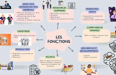 Carte mentale sur les différentes fonctions dans une entreprise