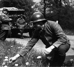 1940 - La Drôle de Guerre