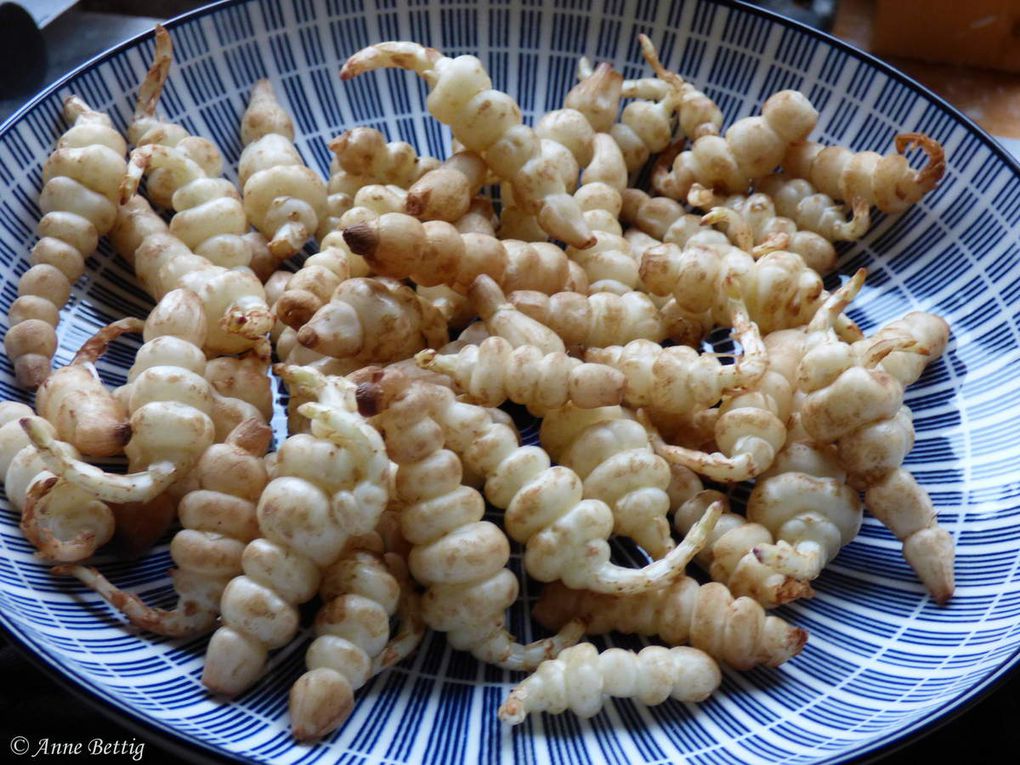 Crosnes du Japon