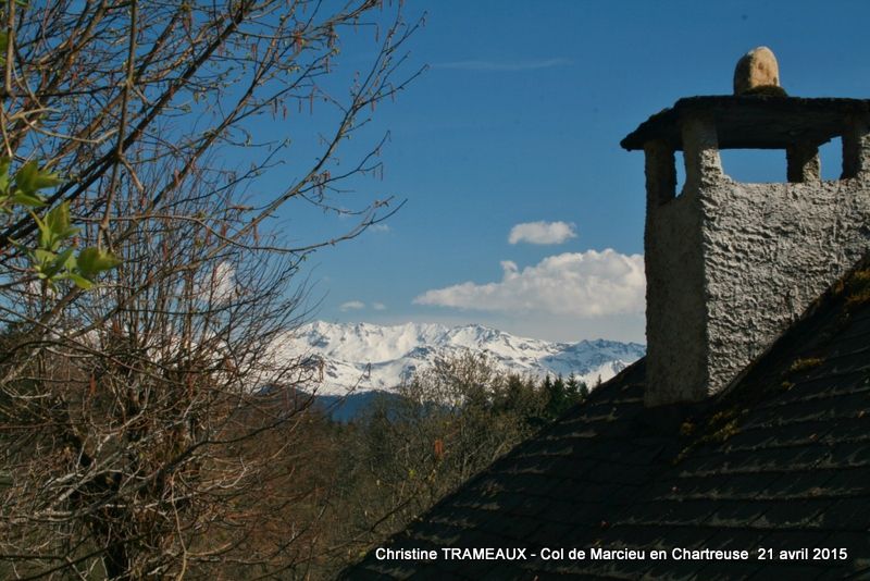 LA CHARTREUSE