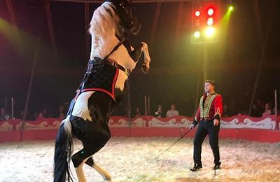 Am Mittwoch, 20. März heißt es um 16 Uhr "Manege frei" für den Zirkus Renz in Veitshöchheim auf dem Geisbergparkplatz 