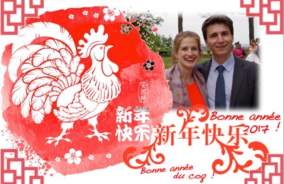 Bonne année du coq ! 鸡年快乐 ! 