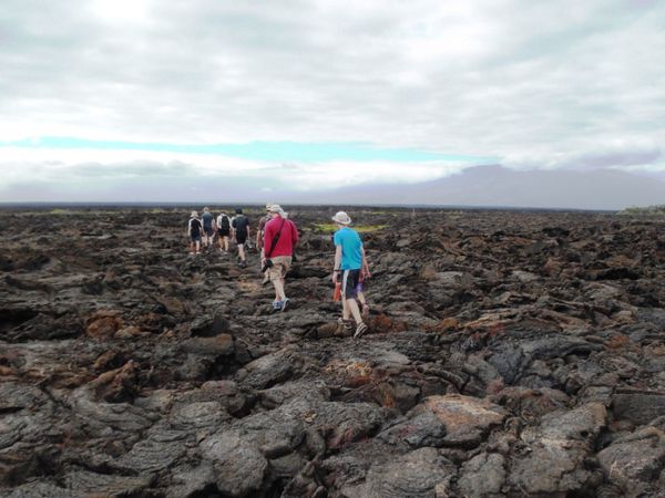 Balade dans le champ de roches volcaniques