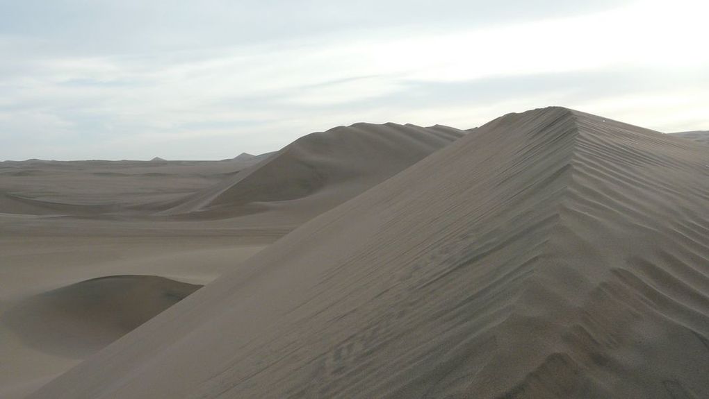 Album - ayacucho--desert-peruvien-et-nos-amis-les-oiseaux