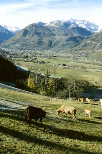 Promenades en image dans les Hautes Pyrénées et la vallée d'Aure