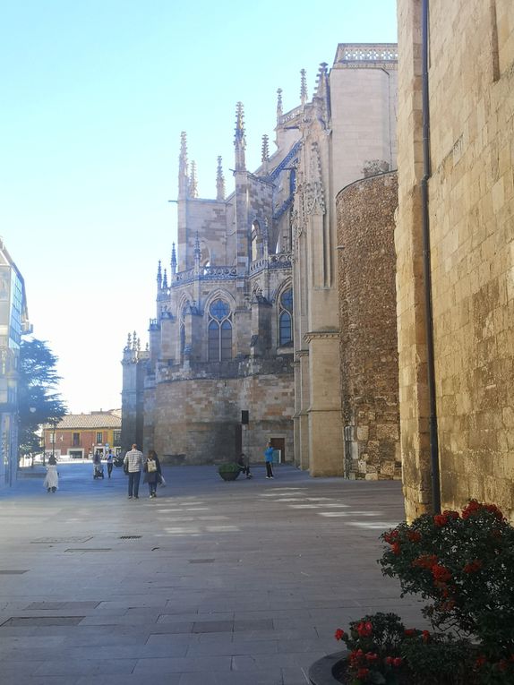 PÈLERINAGE DIOCÉSAIN À SAINT JACQUES DE COMPOSTELLE, SEPTEMBRE 2023