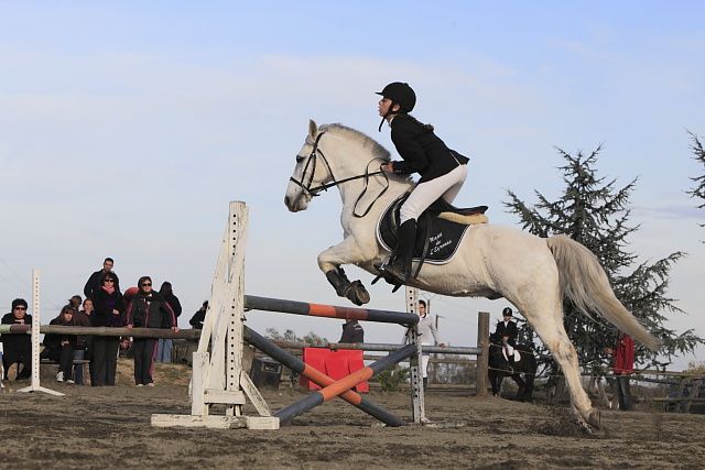 Concours CSO au poney club de Leguevin le 20/11/2011