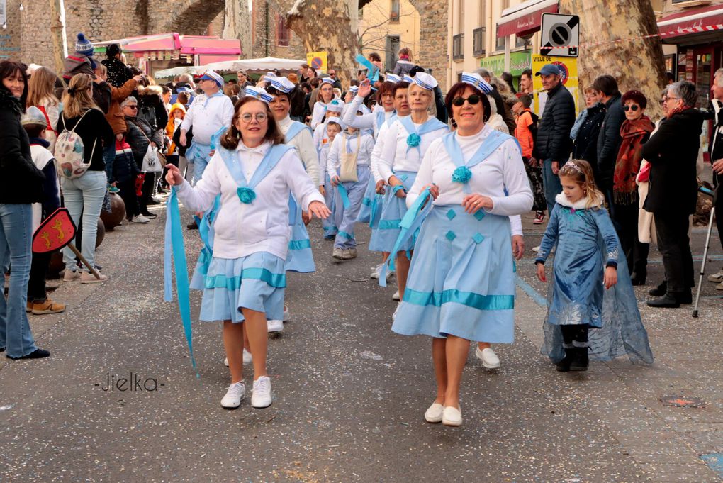 CARNAVAL 2024 A CERET (1ère cavalcade)