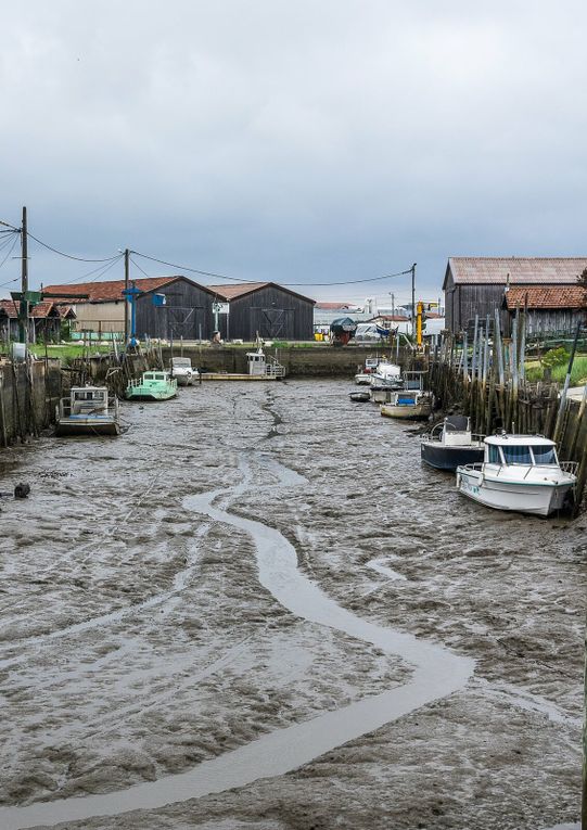 Balade aux cabanes ostréicoles au port du canal entre le Teich et Arcachon.