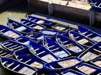 Les barques bleues sont indissociables d'Essaouira, un peu comme les tulipes le sont de la Hollande. Elles ne sont pas seulement une décoration, mais aussi l'outil des pêcheurs...bichonnées, choyées, aimées, admirées, adulées et surtout protégées, elles sont les petites stars du ports et se laissent admirer et photographier comme de véritables actrices de cinéma.