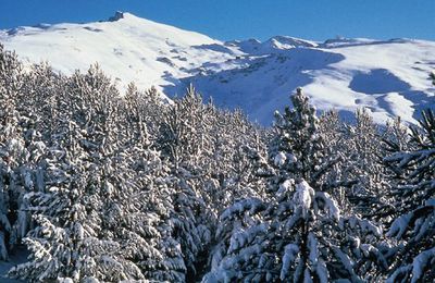 Granada y Sierra Nevada