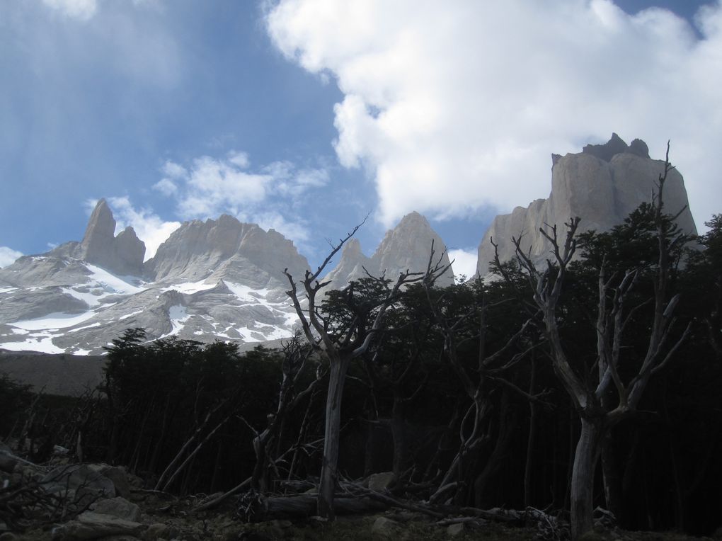 Album - Torres-del-Paine-7-10-nov.-2010