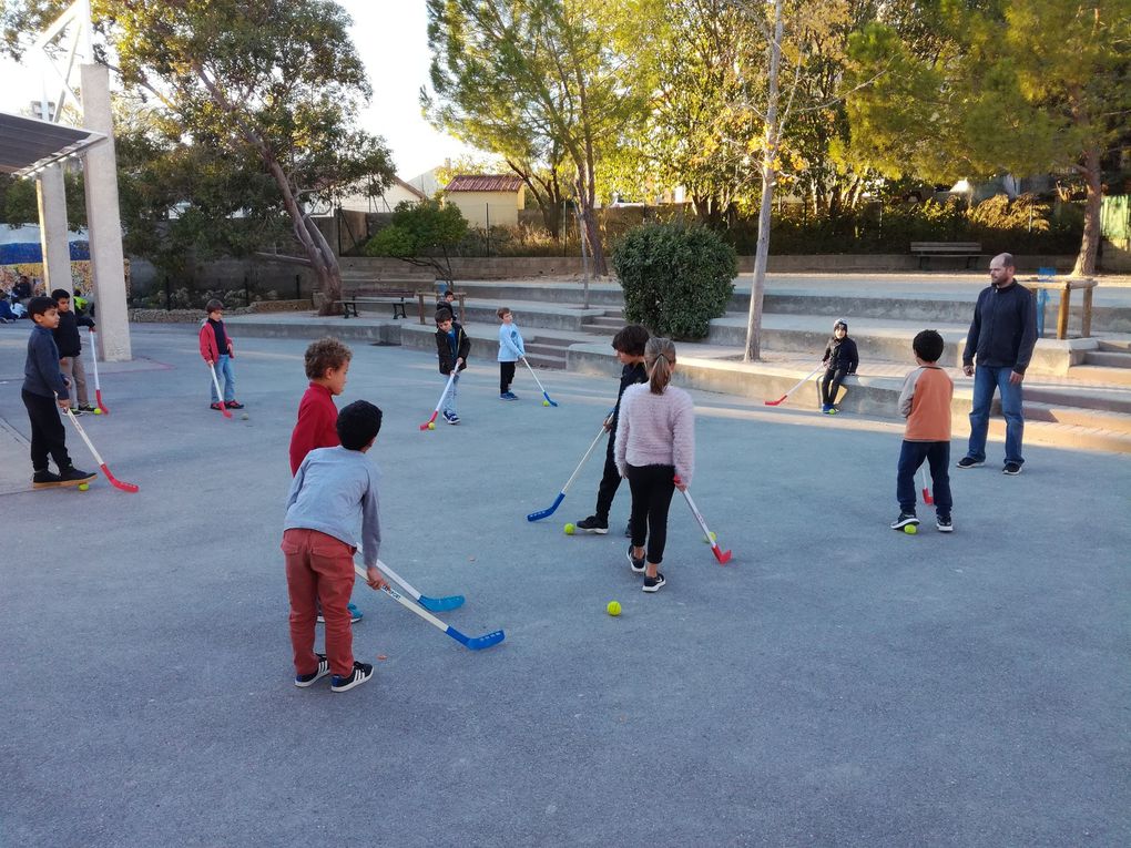 gym, deco de noel, hockey, conte et histoire, ludotheque, récréactive, construction de montgolfiere et bien plus encore, il y en a pour tous les gouts au TAPS élémentaire cycle 2!