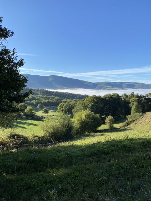 7ème étape : Triacastela - Sarria