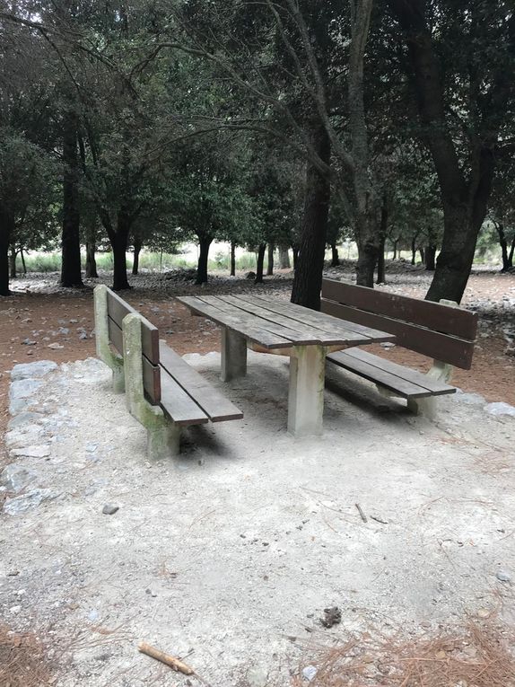 Promenade dans l'arrière-pays, de Soller à Lluc en passant par les lacs