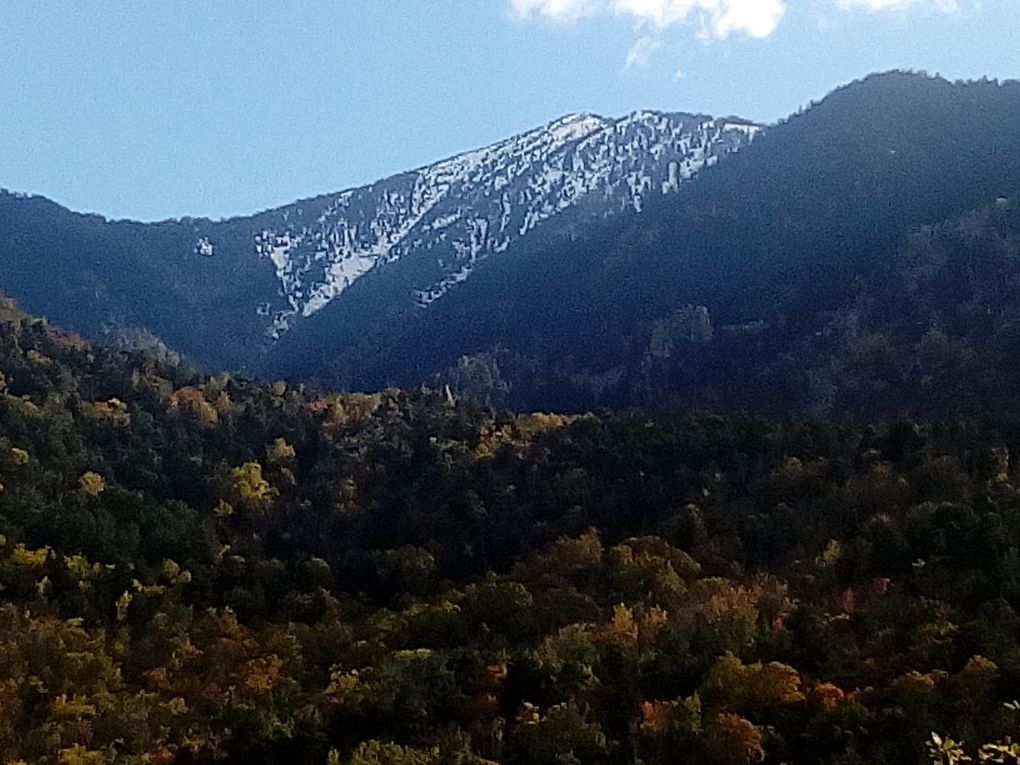 CP, CE1, CE2, CM1 ET 3eme à la recherche des couleurs de l'automne en catalan