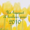 Bonne année 2010 !