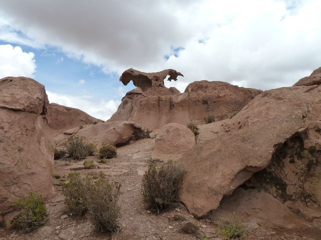 tupiza, le sud Lipez, salar d Uyuni, retour vers Tupiza, les fresques écolos de Tarija.