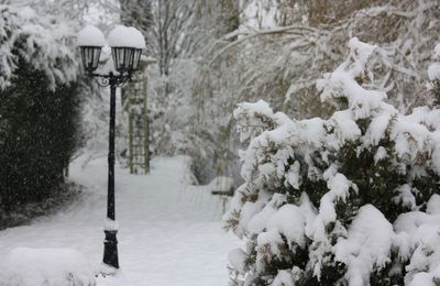 Episode neigeux du 29 novembre 2010