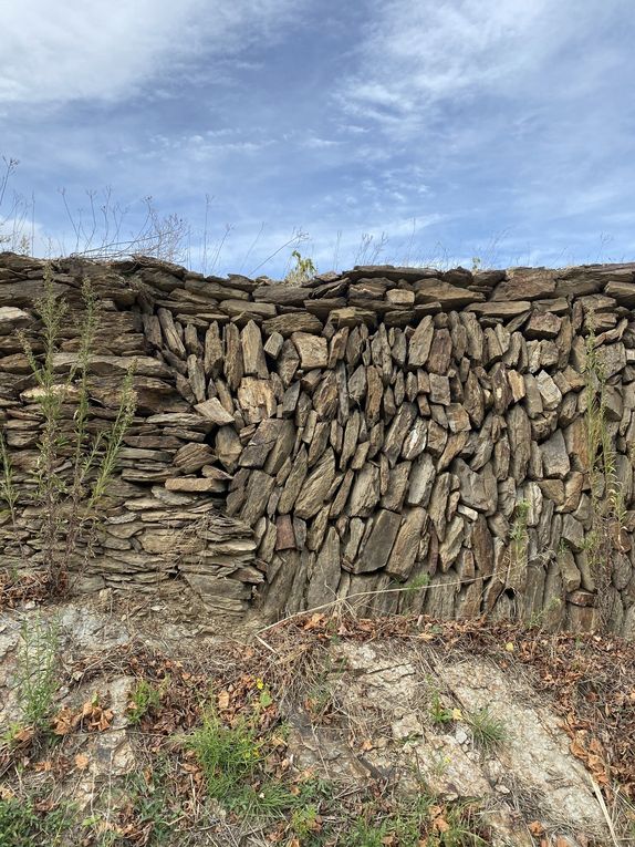 La balade à la recherche des trésors des bois à Montner (27 photos) dans les yeux de Lucie