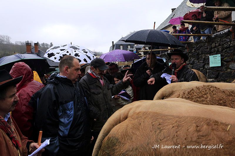 Journée du 17 mars 2013