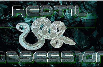 Reptil-Obsession