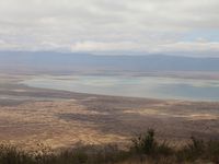 Cratère du Ngorongoro - Senoto Gate