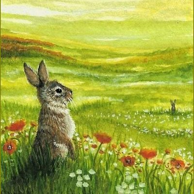 lapins, lièvres en peinture et illustrations -   AmyLyn Bihrle