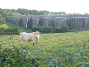 Ste-Sabine-Chaudenay-Chazilly (02/10/2014)