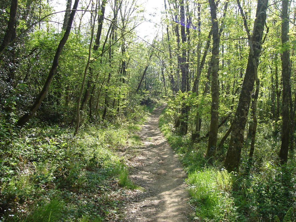 Diverses randonnées, essentiellement dans le Tarn