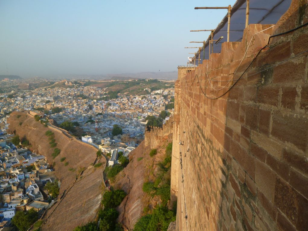 Album - Jodhpur, la Ville bleue