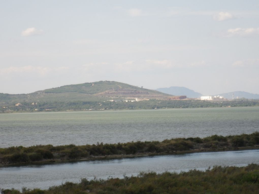 petit voyage de l'été dernier, bien agréable le sud-ouest de la France!