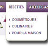 Le site AZ : Comment s'y retrouver? 2) Les recettes